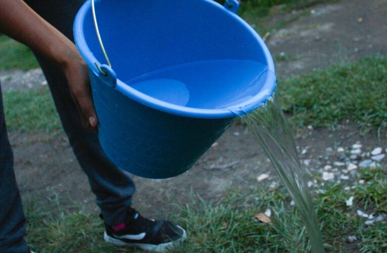 Puebla, sin nuevos casos ni decesos por dengue: Salud