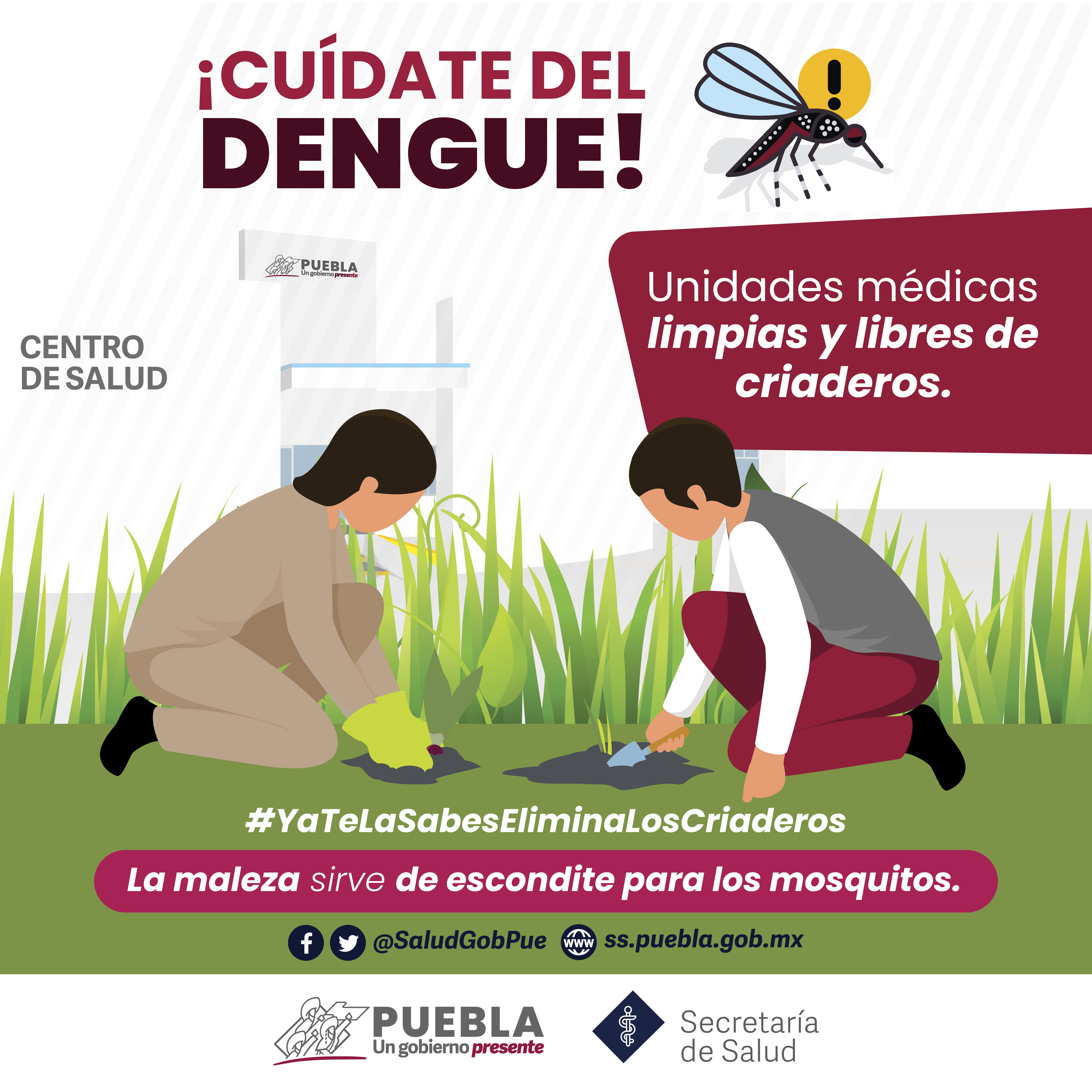 Reporta Salud 35 contagios por dengue en las últimas 24 horas